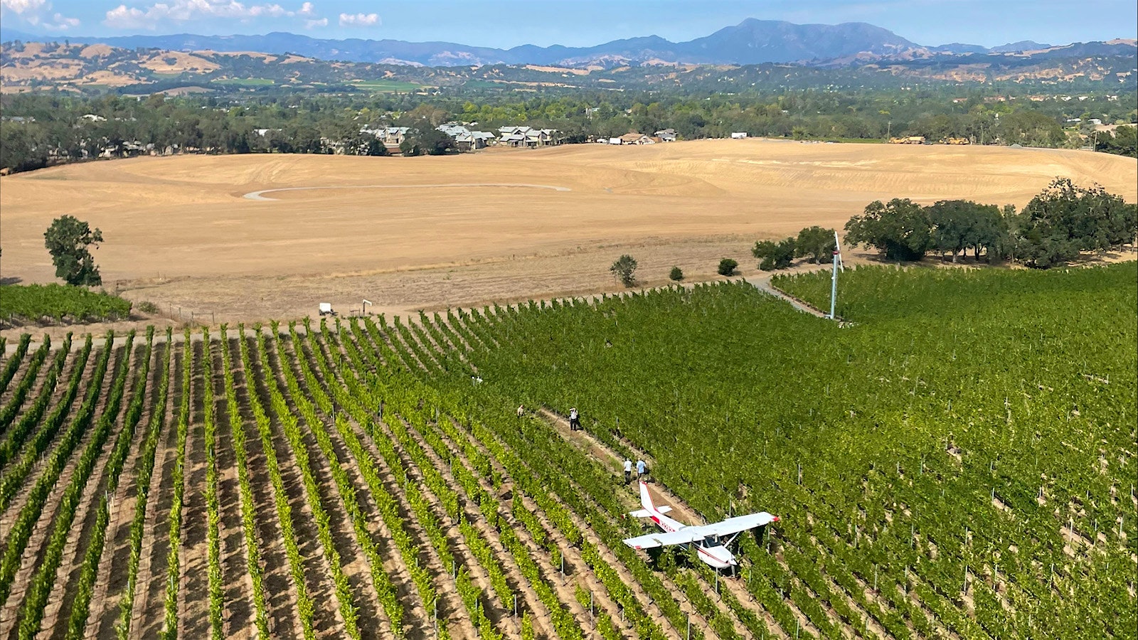 The plane plowed through 100 vines